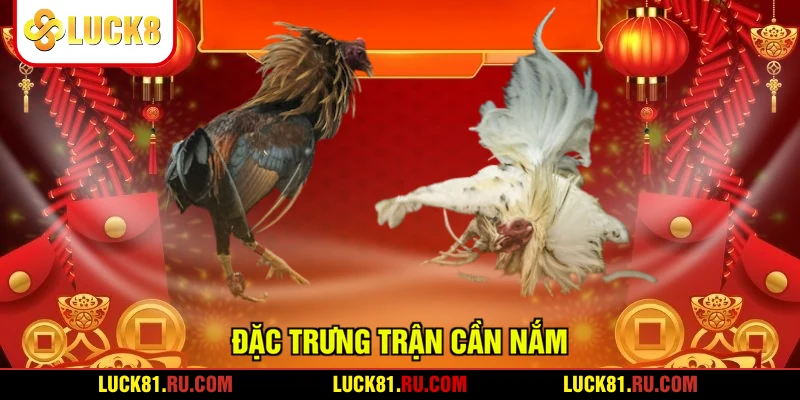 Đặc trưng trận cần nắm